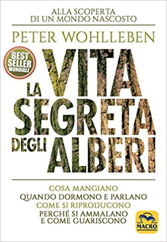 La vita segreta egli alberi