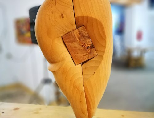 Legno massello e legno massiccio definizione e significato bioforme Legno massello significato