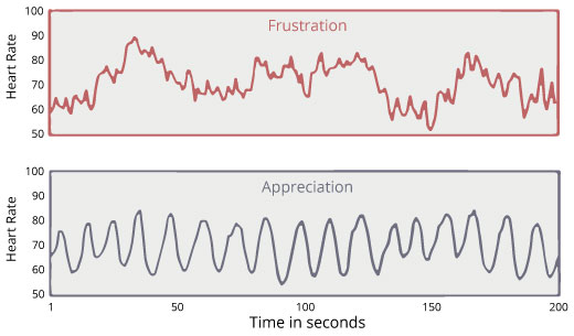 variabilità-della-frequenza-cardiaca